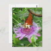 Fritillary & Passion Vine Briefkaart (Voorkant / Achterkant)