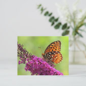 Fritillary World - Butterfly Briefkaart (Staand voorkant)