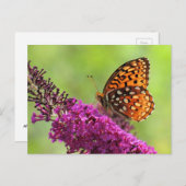 Fritillary World - Butterfly Briefkaart (Voorkant / Achterkant)