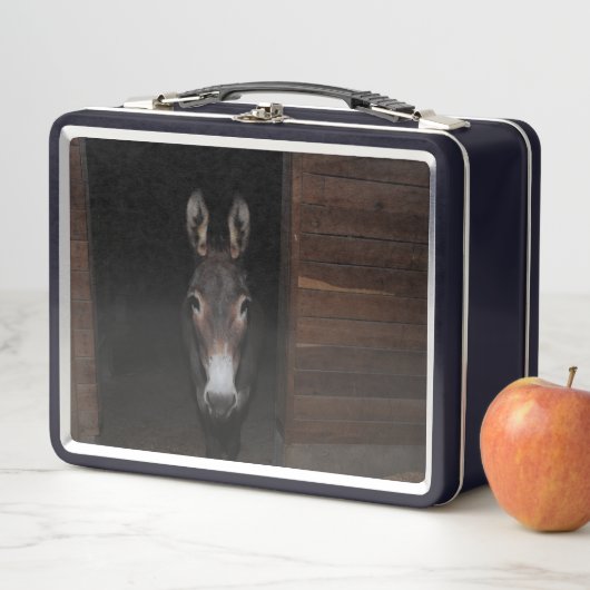 Frito de Donkey (In situ)