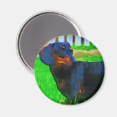 Fritz Magneet (Voorkant / Achterkant)