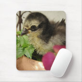 Frizzle Chick in Flowers Muismat (Met muis)