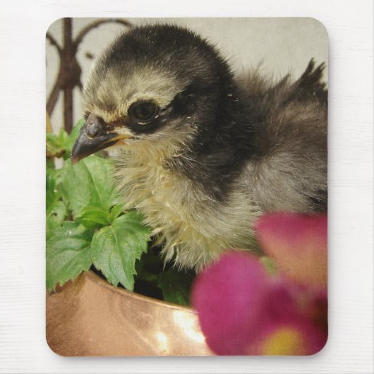 Frizzle Chick in Flowers Muismat (Voorkant)