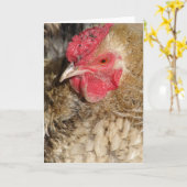 Frizzle Rooster Kaart (Gele Bloem)
