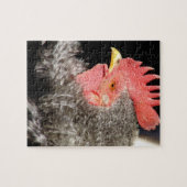 Frizzle Rooster Legpuzzel (Horizontaal)