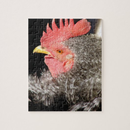 Frizzle Rooster Legpuzzel (Verticaal)