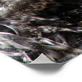 Frizzle Rooster Poster (Hoek)