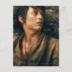 FRODO™ in Despair Briefkaart