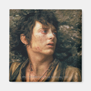 FRODO™ in wanhoop Magneet