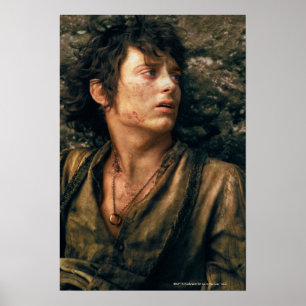 FRODO™ in wanhoop Poster