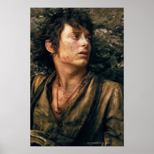 FRODO™ in wanhoop Poster (Voorkant)