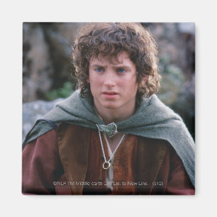 FRODO™ MAGNEET