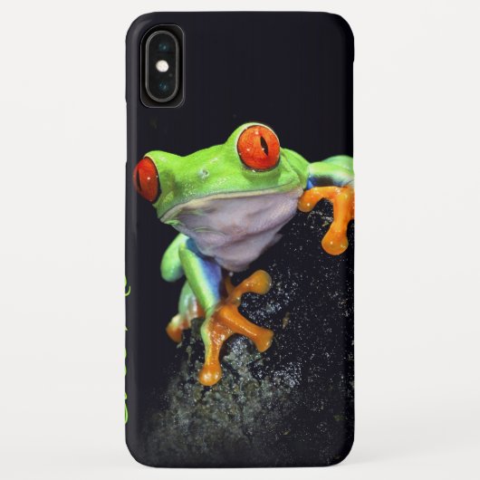 Frog 3 iPhone Case (Achterkant)