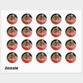 Frog Cut Ronde Sticker (Vel)