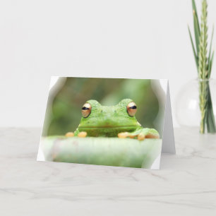 Frog Eyes Wenskaart Kaart