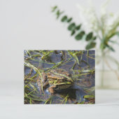 Frog in river briefkaart (Staand voorkant)