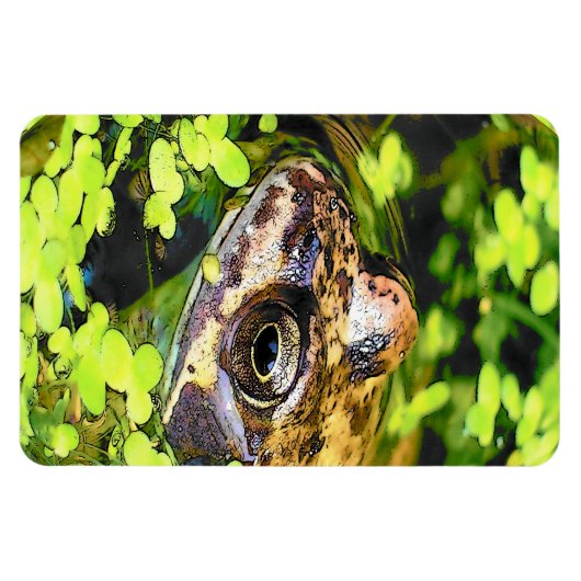 FROG MAGNEET (Horizontaal)