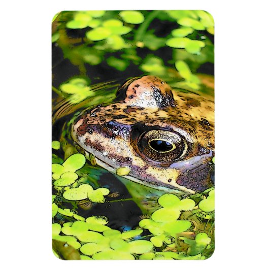 FROG MAGNEET (Verticaal)