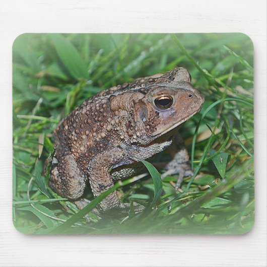 Frog Mousepad Muismat (Voorkant)