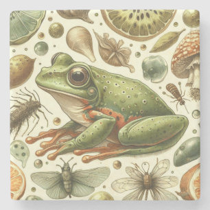 Frog Naadloze Waterverf Stenen Onderzetter