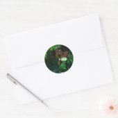 Frog Princess Ronde Sticker (Envelop)