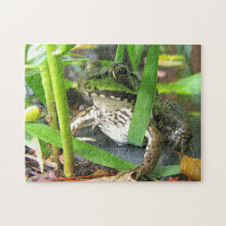 Frog Puzzle Extraordinaire Legpuzzel