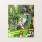 Frog Puzzle Extraordinaire Legpuzzel (Verticaal)