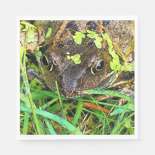FROG SERVETTEN (Voorkant)