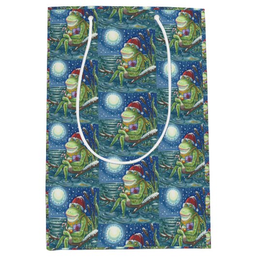FROG SUR JOURNAL PÈRE NOËL, SAC CADEAU MOYEN DE NO (Devant)