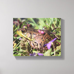 Froggy Canvas Afdruk