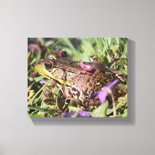 Froggy Canvas Afdruk (Voorkant)
