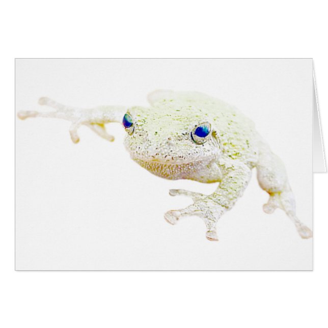 Froggy du nord (Devant horizontal)