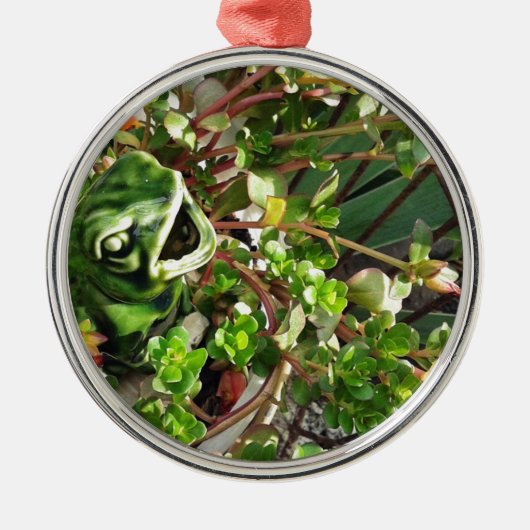 Froggy Metalen Ornament (Voorkant)