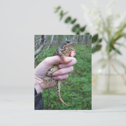 Froggylicious ! carte postale (Debout devant)