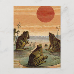 Frogs Lily Pads Moon Illustratie Briefkaart