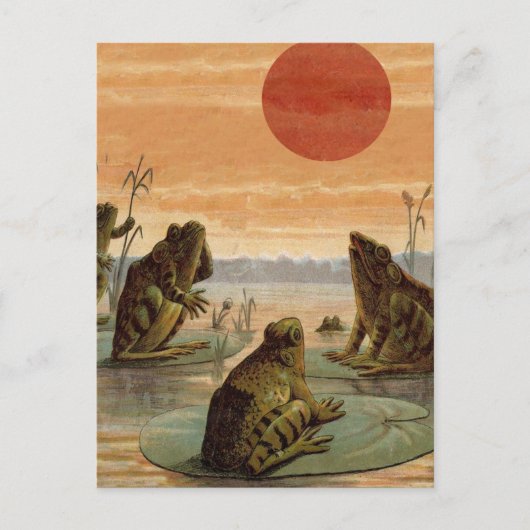 Frogs Lily Pads Moon Illustratie Briefkaart (Voorkant)