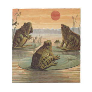 Frogs Lily Pads Moon Illustratie Notitieblok