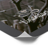 Froid de brouillard de Burdock d'hiver par Poster (Coin)