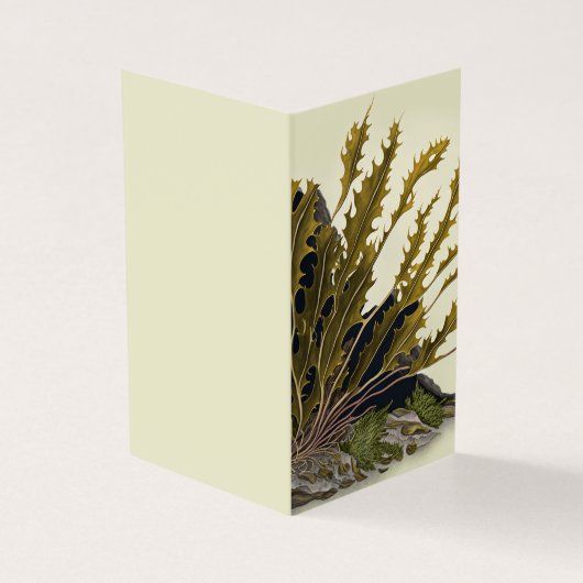 Frondes de la marée (Outside)