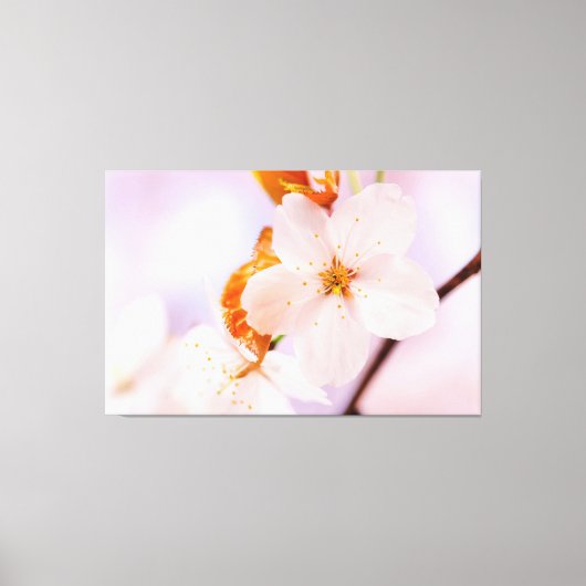 Frontaal Uitzicht van de Sakura-ventilator in het  Canvas Afdruk (Voorkant)