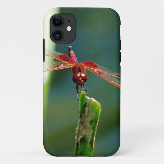 Frontale rode en zwarte dragonfly Case-Mate iPhone case (Achterkant)