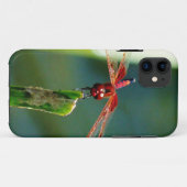 Frontale rode en zwarte dragonfly Case-Mate iPhone case (Achterkant (horizontaal))
