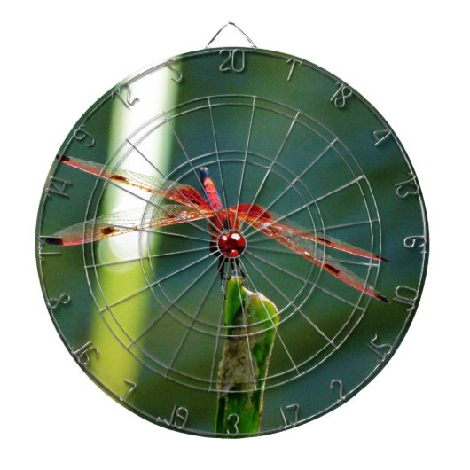 Frontale rode en zwarte dragonfly dartbord (Voorkant)