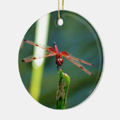 Frontale rode en zwarte dragonfly keramisch ornament (Links)
