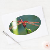 Frontale rode en zwarte dragonfly ovale sticker (Envelop)