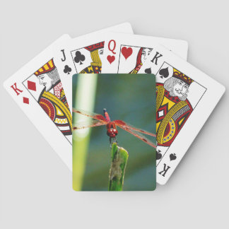Frontale rode en zwarte dragonfly pokerkaarten