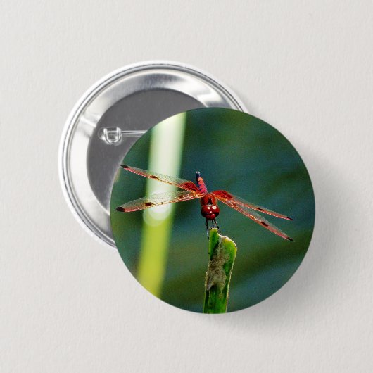 Frontale rode en zwarte dragonfly ronde button 5,7 cm (Voorkant /achterkant)