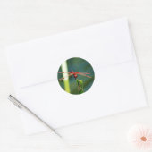 Frontale rode en zwarte dragonfly ronde sticker (Envelop)