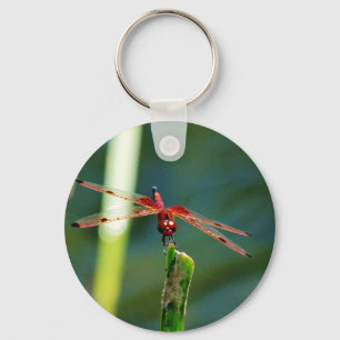 Frontale rode en zwarte dragonfly sleutelhanger