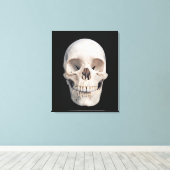 Frontale Uitzicht van de menselijke schedel Canvas Afdruk (Insitu (Houten vloer))